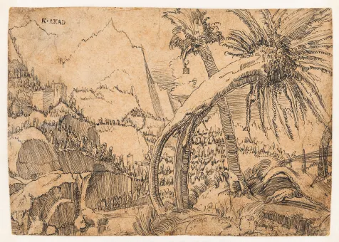 Berglandschaft mit verwitterten Weiden