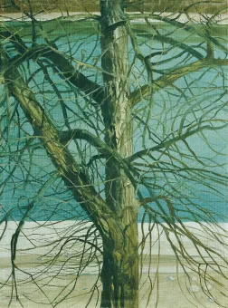 Klemens Brosch, Baumstudie an der Donau