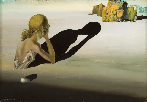 Oberkörper einer Frau von hinten mit schwarzem Schatten in einer Landschaft aus Sand