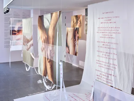 Ausstellungsansicht im Belvedere 21