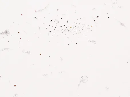 Ausstellungsansicht "CARLONE CONTEMPORARY: Michail Michailov. Dust to Dust"