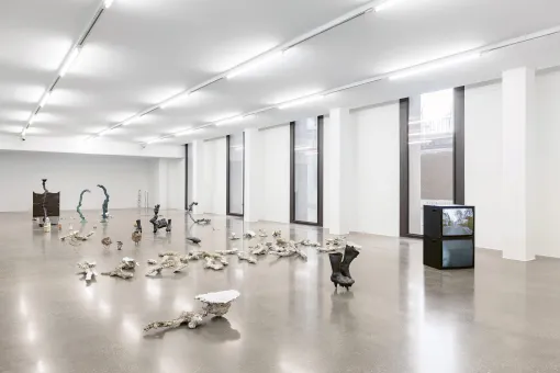 Ausstellungsansicht "Angelika Loderer. Soil Fictions"