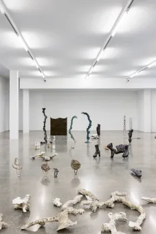 Ausstellungsansicht "Angelika Loderer. Soil Fictions"
