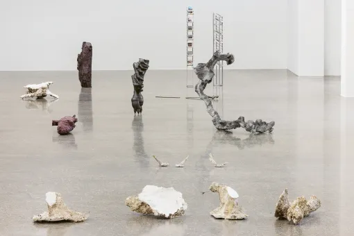 Ausstellungsansicht "Angelika Loderer. Soil Fictions"