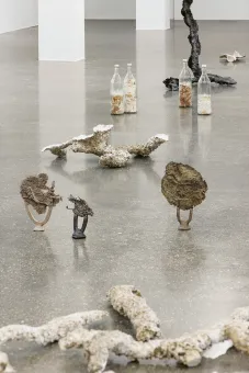 Ausstellungsansicht "Angelika Loderer. Soil Fictions"