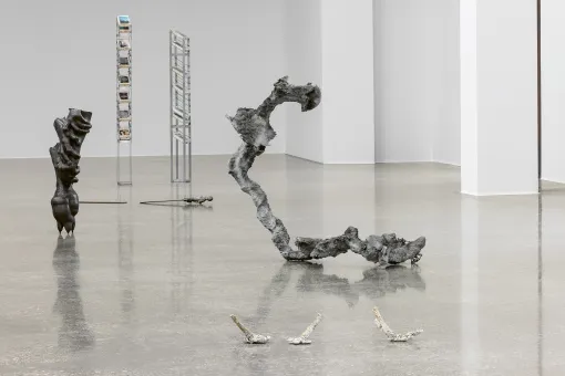 Ausstellungsansicht "Angelika Loderer. Soil Fictions"