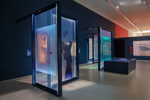 Ausstellungsansicht "Gustav Klimt – Pigment & Pixel. Mit Technologie Kunst neu entdecken", Unteres Belvedere