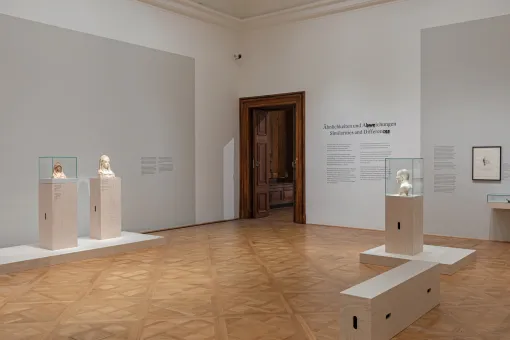 Ausstellungsansicht "Franz Xaver Messerschmidt. Mehr als Charakterköpfe", Unteres Belvedere