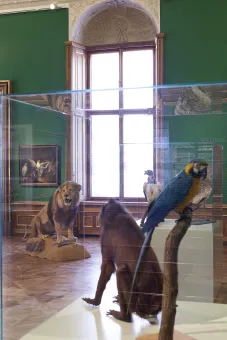 Prinz Eugen von Savoyen - Die Menagerie des Prinzen