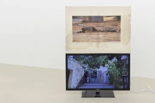 21er Raum: Philipp Timischl