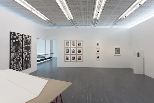 Die Sammlung #3