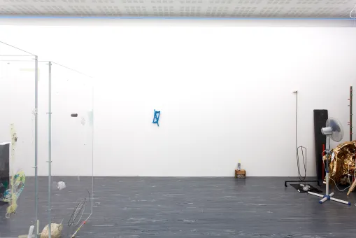 21er Raum: Andy Coolquitt