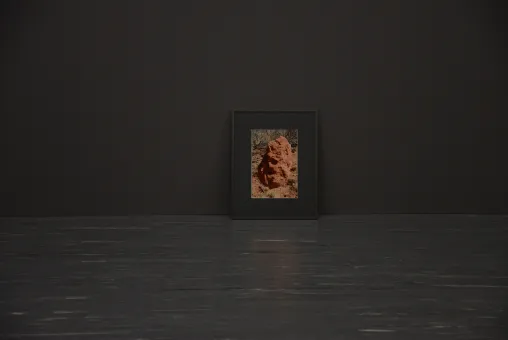 21er Raum: Susanne Kriemann