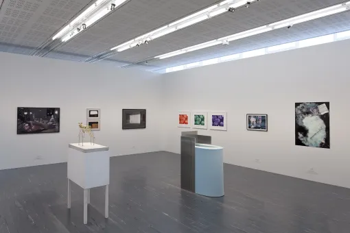 Die Sammlung #4