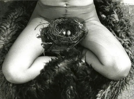 Schwarz/Weiß Fotografie   41 x 45,5 x 2,5 cm