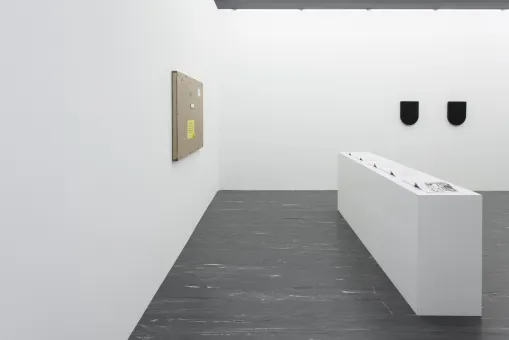 21er Raum: Adriana Lara