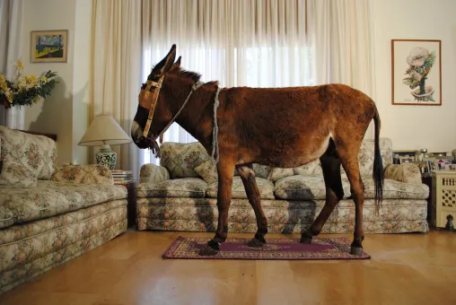Hicham Benohoud  Ohne Titel (aus der Serie Anes Situ), 2012-2013  10 Fotografien  je 80 x 120 cm  Courtesy der Künstler und CulturesInterface