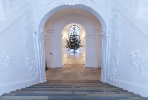 Belvedere-Weihnachtsbaum 2014