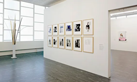 Die Sammlung