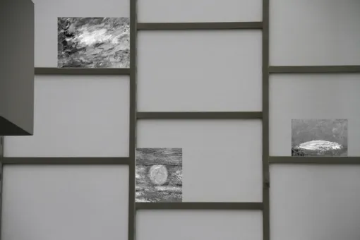 Lisa Oppenheim / Agnieszka Polska