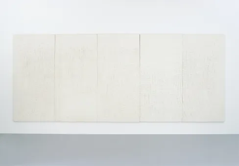 PVC  625 x 254 x 3,60 cm 