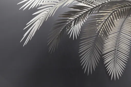 21er Raum: Sarah Ortmeyer