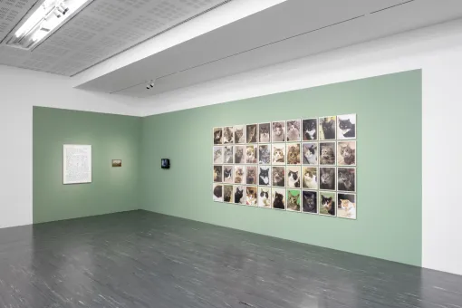 40 C-Prints, Collage (Tinte und Bleistift auf Papier), Video (Farbe, Ton, 15:30 min, geloopt) 