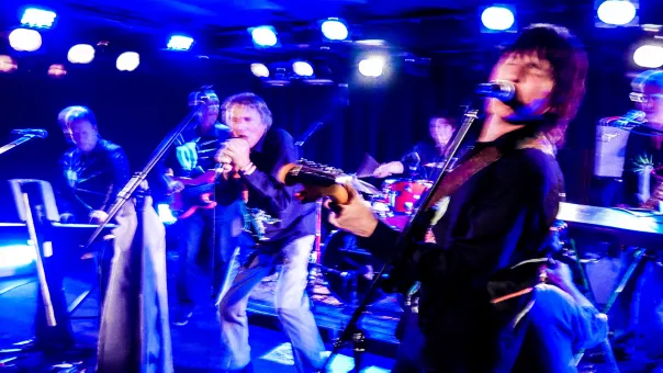 Fehlfarben Konzert