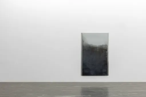 Courtesy die Künstlerin und Galerie Meyer Kainer