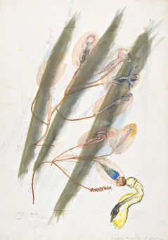 Arnulf Rainer / Günter Brus