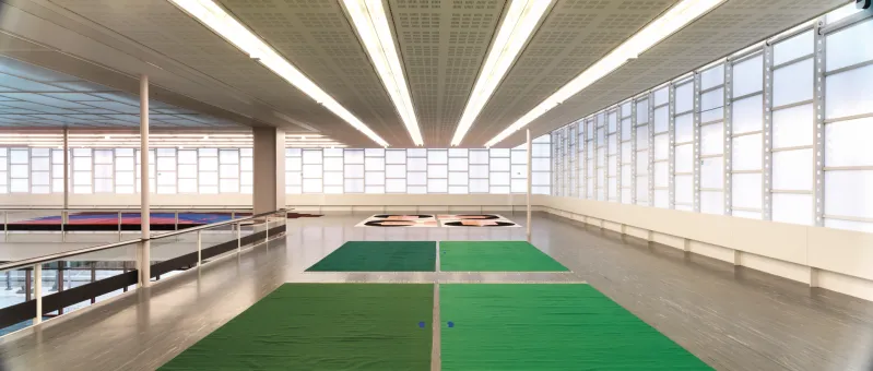 Vorne: Polly Apfelbaum, Evergreen Blueshoes, 2015; Courtesy die Künstlerin & Frith Street Gallery, London  