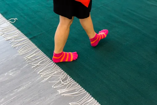 Polly Apfelbaum