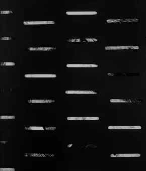 Nicolas Jasmin