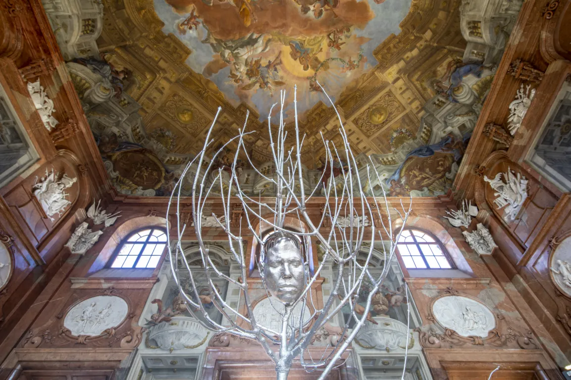 Ausstellungsansicht "GROW. Der Baum in der Kunst"