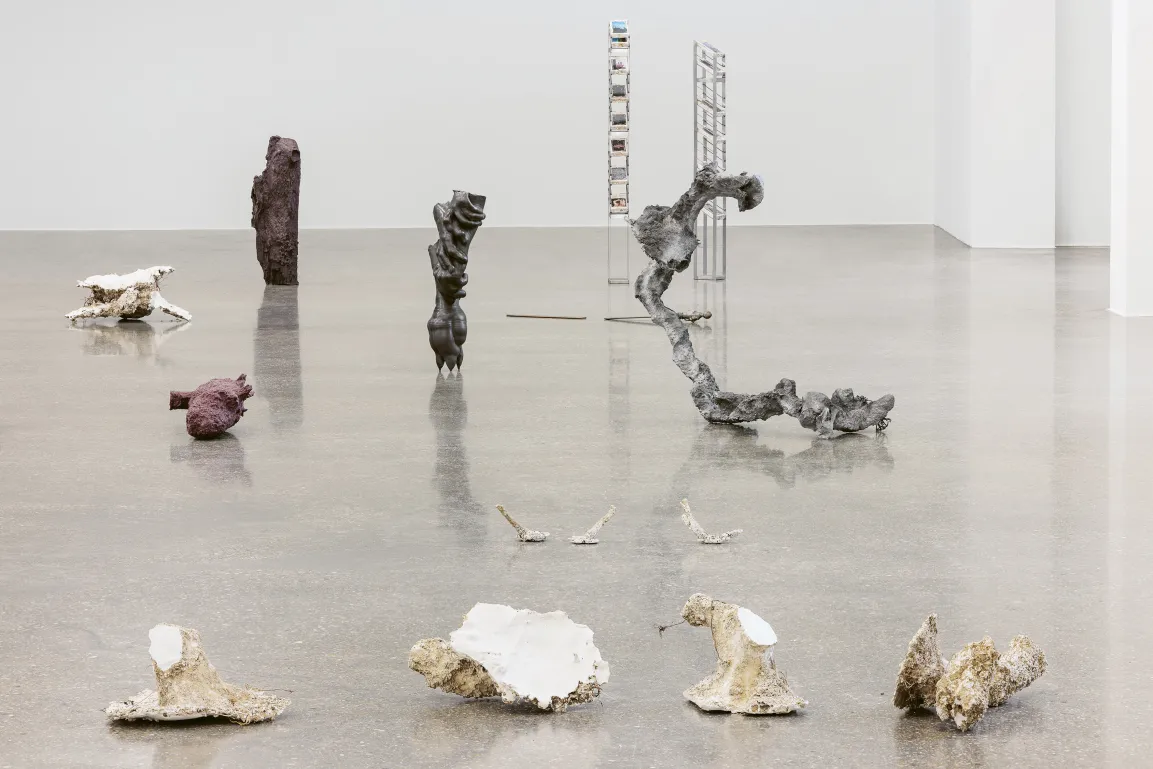 Ausstellungsansicht "Angelika Loderer. Soil Fictions"