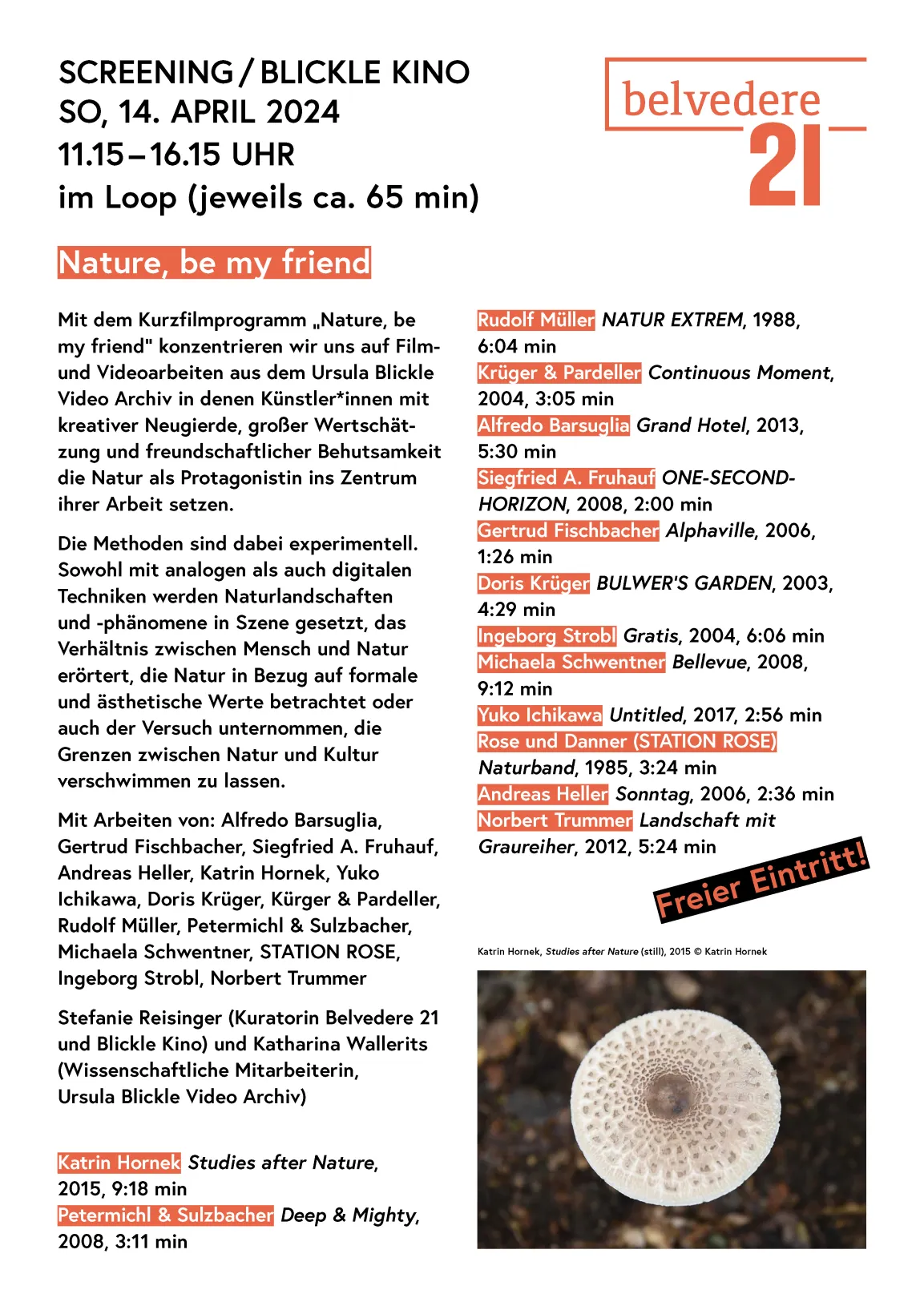 Blickle Kino Programm