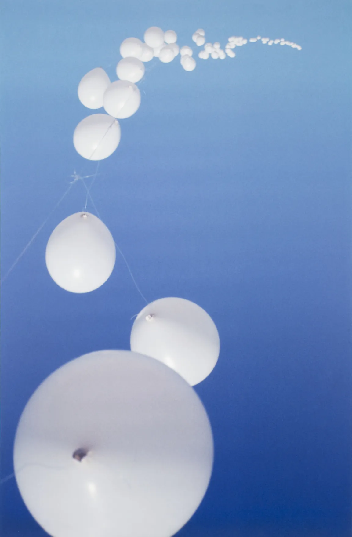 Girlande aus weißen, aufsteigenden Luftballons vor einem blauen Hintergrund