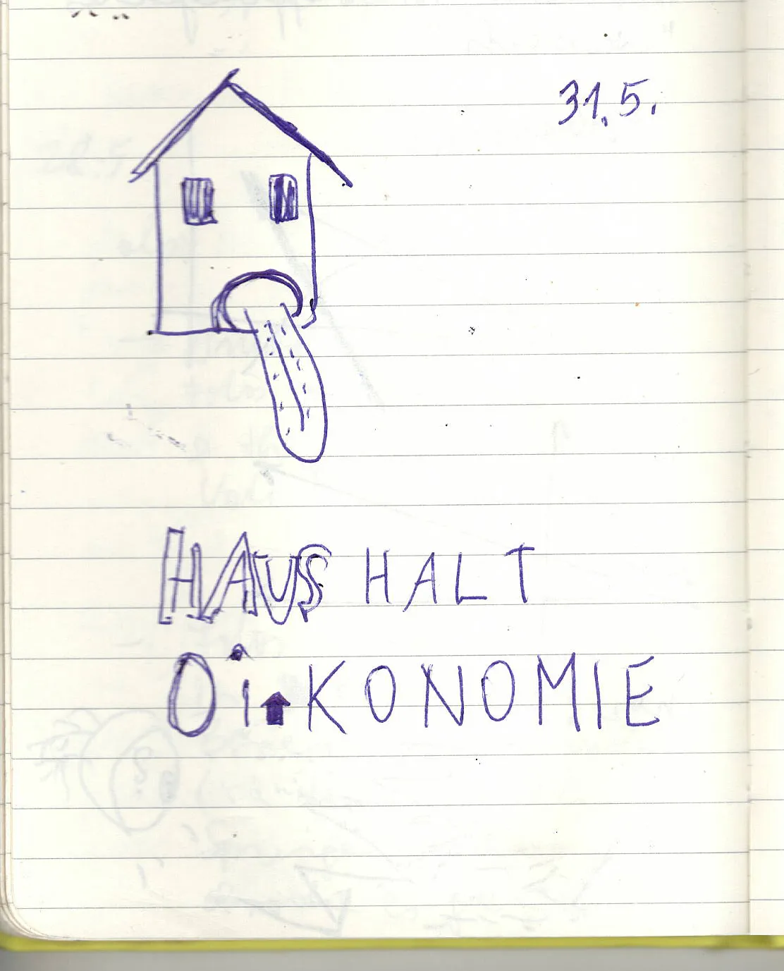 Ashley Hans Scheirl, Tagebucheintrag, o.J.