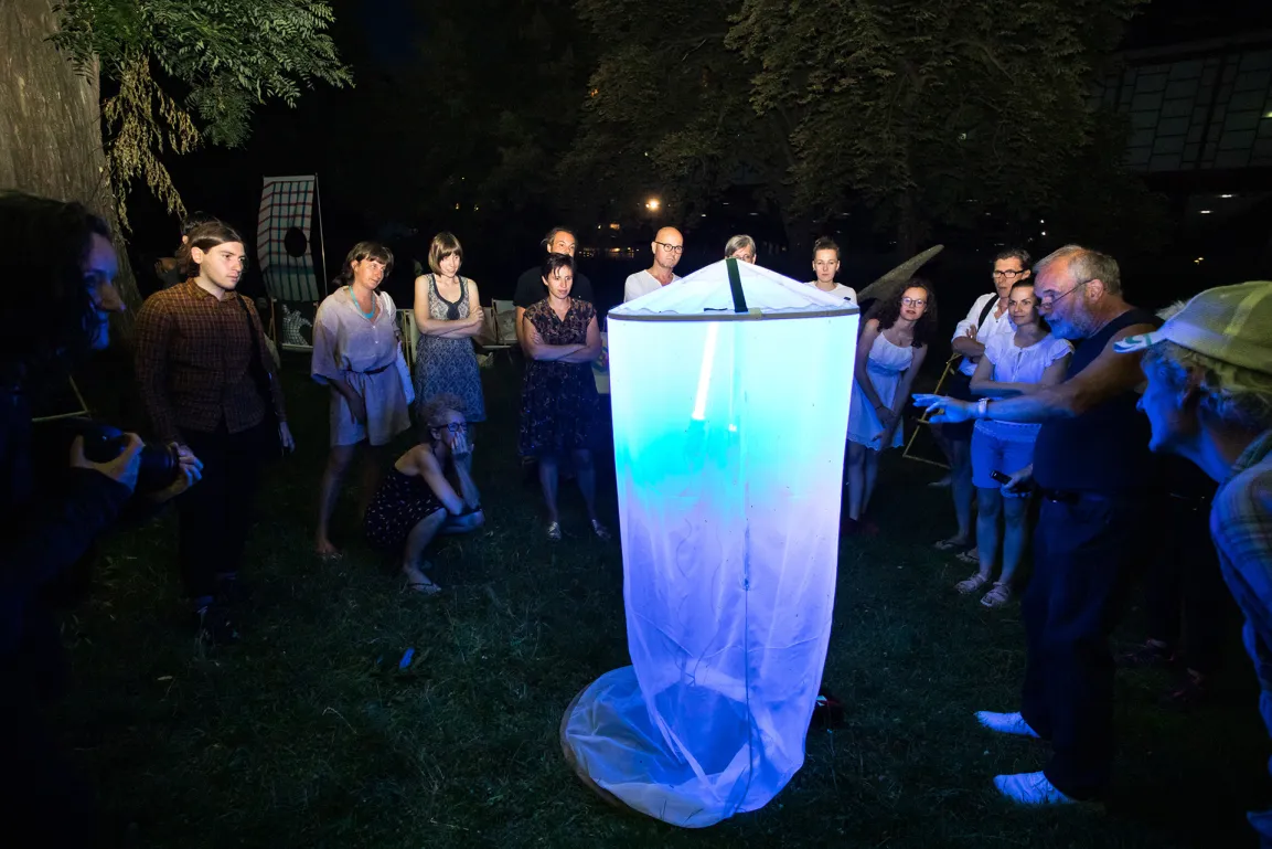 People sitting in a circle in nature at night