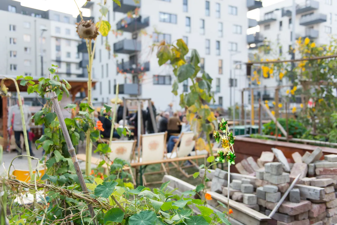 Plants in front of a residential building