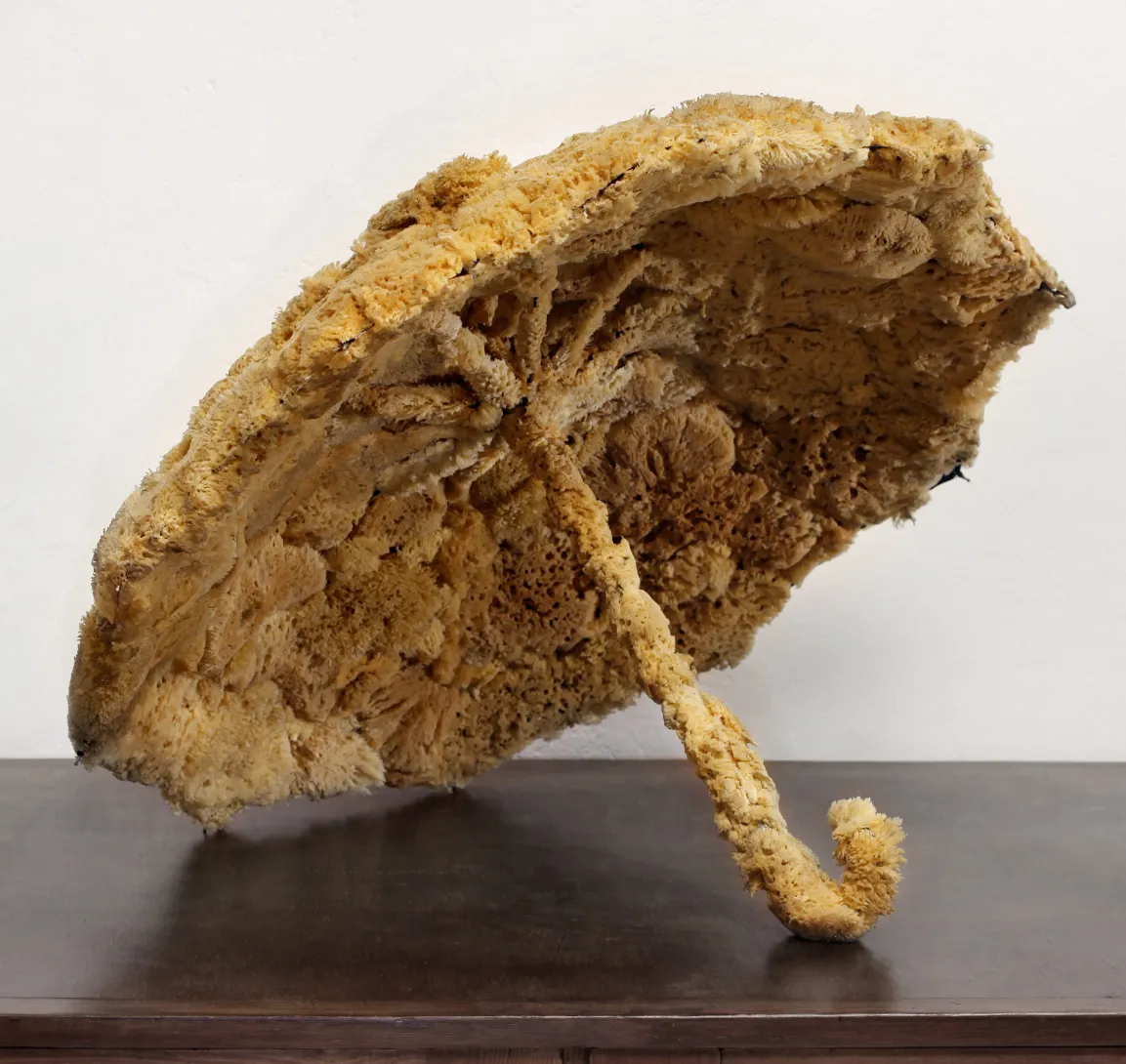 Regenschirm mit Schwämmen/umbrella with sponges, Durchmesser/diameter ca. 120 cm, Privatsammlung Berlin (Ex 42286) (Copyright Succession Paalen, The Wolfgang Paalen Society e.V.