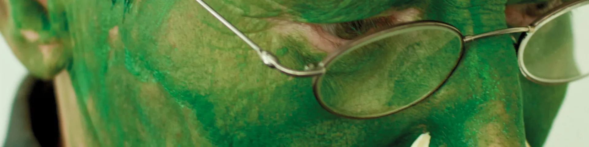 Lois Weinberger, Green Man, 2004