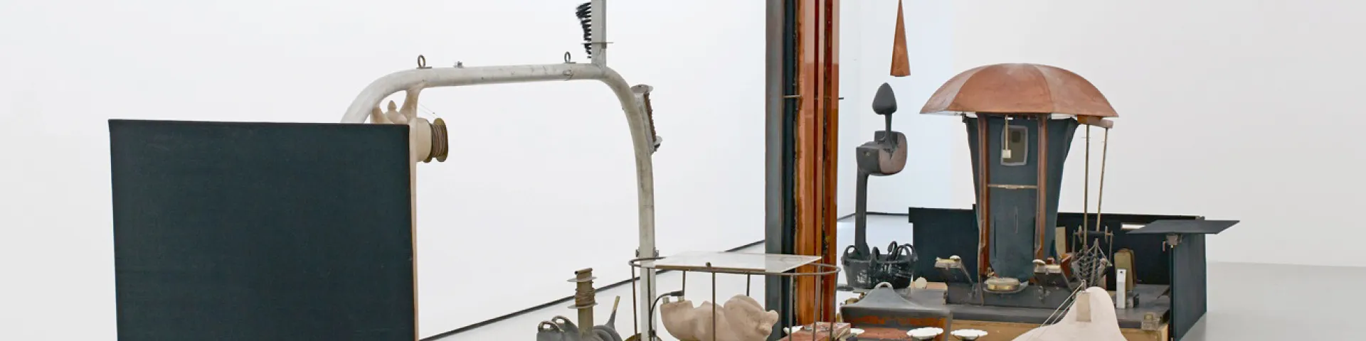Eisen, Aluminium, Holz  (hautfarbenes Objekt: Pressspan, Metallgerüst,   Fundstücke, mit hautfarbenem Kit überzogen)  800 x 300 cm