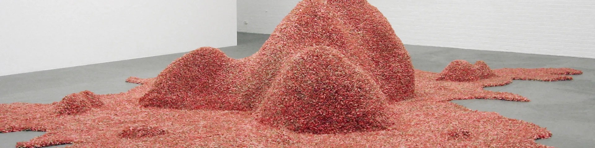 Ernesto Neto