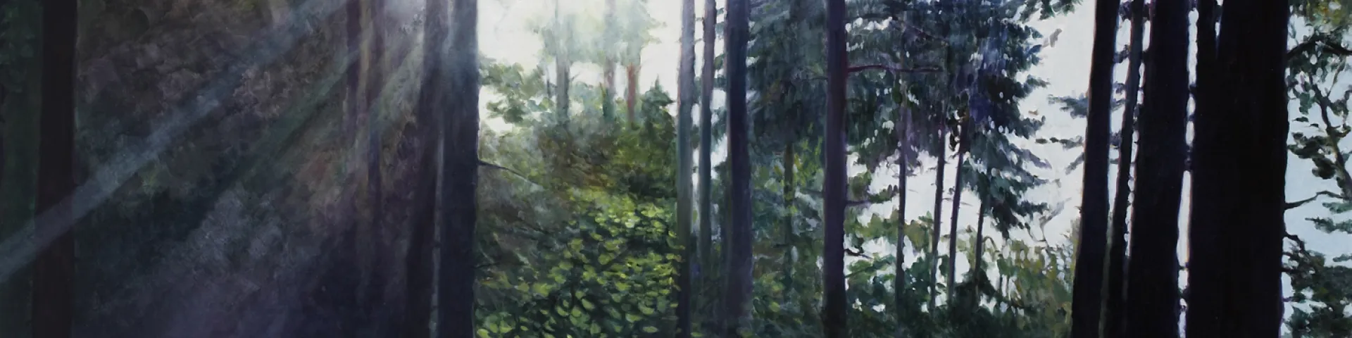 Martin Schnur