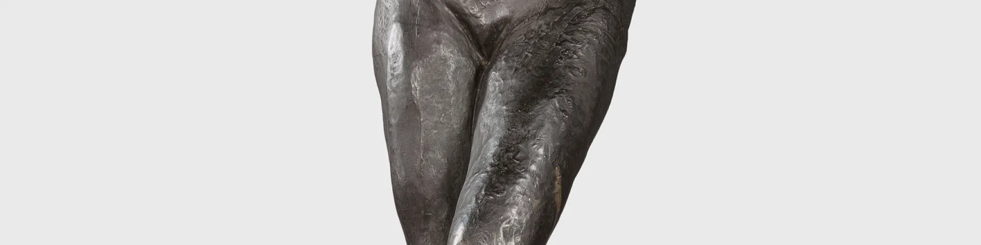 Rodin und Wien