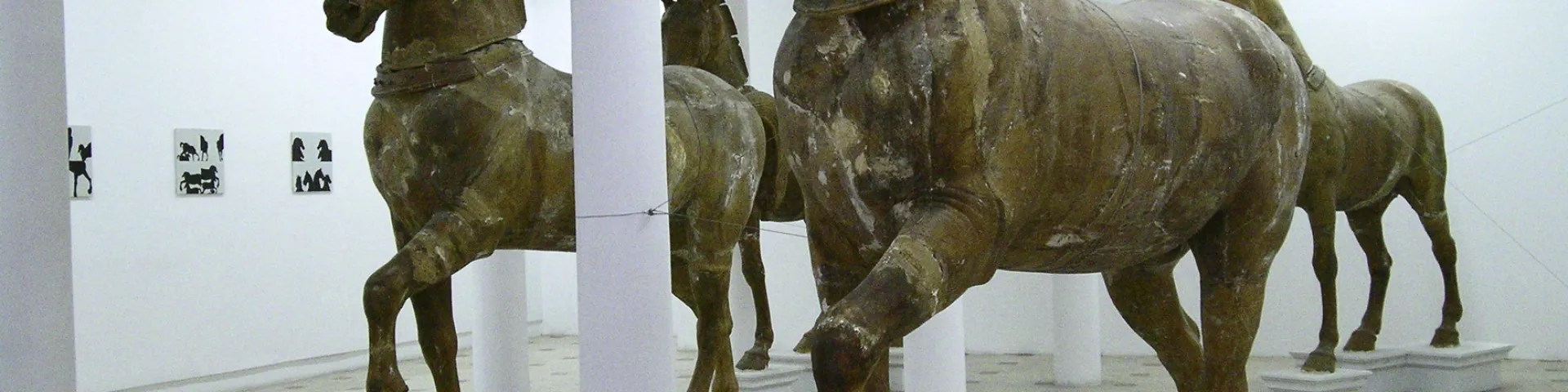 tanzimat