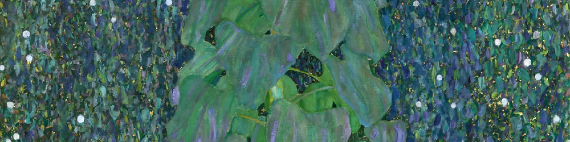 Klimt Schenkung