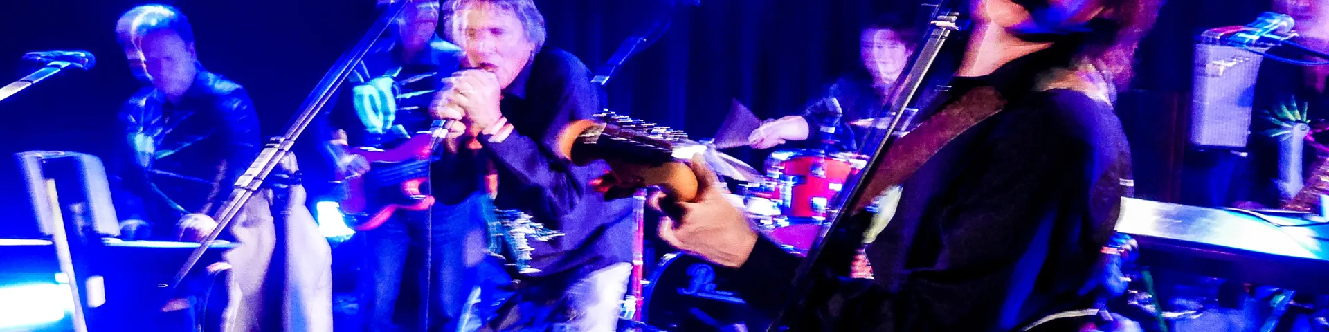 Fehlfarben Konzert
