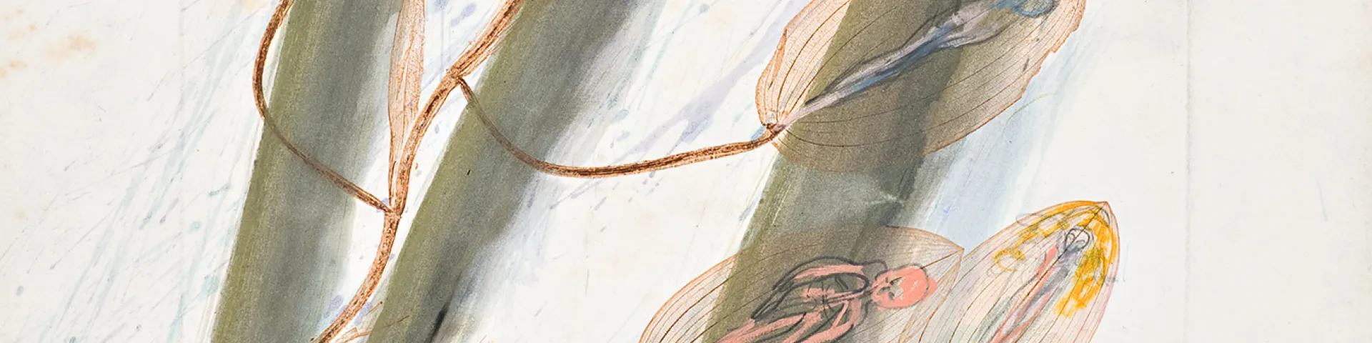 Arnulf Rainer / Günter Brus